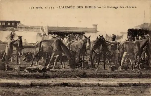 CPA Armee des Indes, Pansage des chevaux