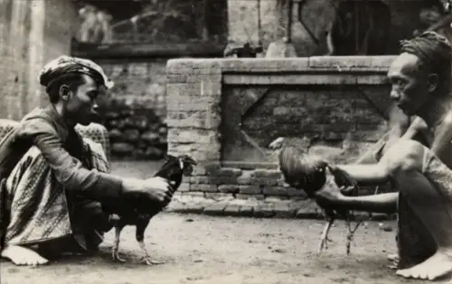 Foto Ak Insel Bali Indonesien, Männer mit Hähnen