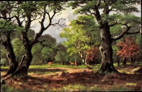 Künstler Ak Rehe im Wald