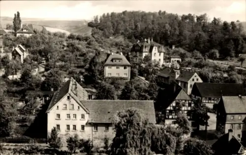 Ak Mosel Zwickau in Sachsen, Gesamtansicht