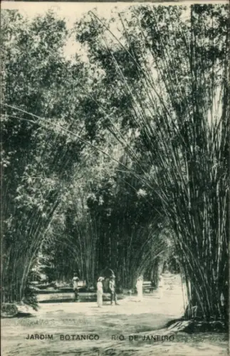 Ak Rio de Janeiro Brasilien, Botanischer Garten
