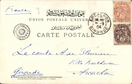 CPA Type de Femme Turque, Tänzerin