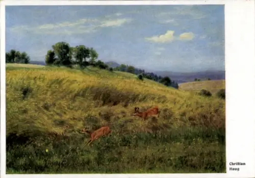 Künstler Ak Haug, Christian, Rehbock verfolg Reh auf einer Wiese
