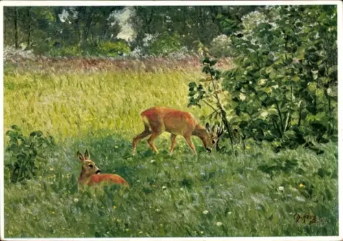 Künstler Ak Haug, Ch., Rehe