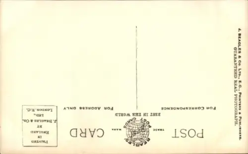 Ak Prince of Wales, Portrait