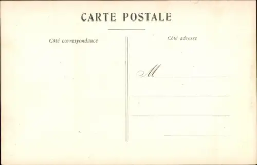 Ak Espèces Canines, Race Dogues Danois