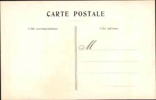 Ak Espèces Canines, Cocker-Springer