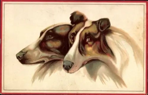 Künstler Ak Zwei Collies