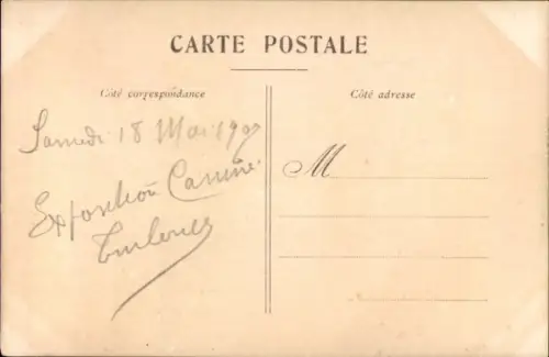 CPA Espèces Canines, Race chiens Terriers