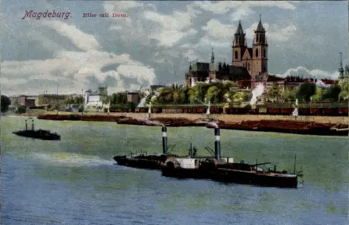 Ak Magdeburg an der Elbe, Teilansicht, Dom, Raddampfer
