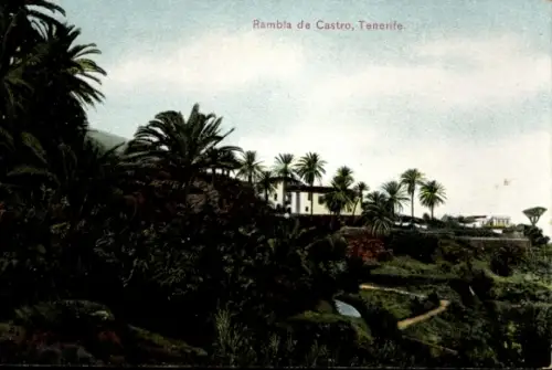 Ak Teneriffa Kanarische Inseln Spanien, Rambla de Castro,  Palmen