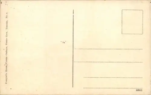 Ak Teneriffa Kanarische Inseln Spanien, Rambla de Castro,  Palmen