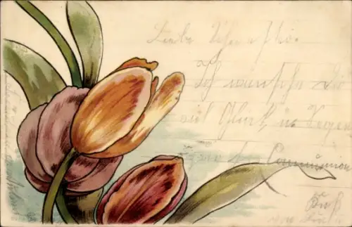 Litho Blumen, Tulpen