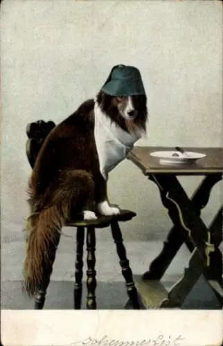 Ak Kitsch, Hund mit Mütze