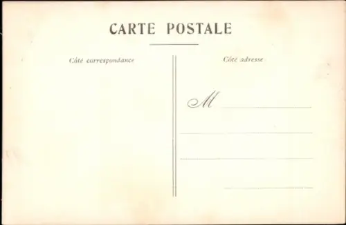 CPA Espèces Canines, Race chiens d'arrêt Anglais, Setters Irlandais