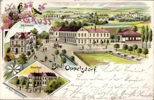 Litho Opolno Zdrój Bad Oppelsdorf Bogatynia Reichenau Schlesien, Villa Schröter, Albertbad, Panorama