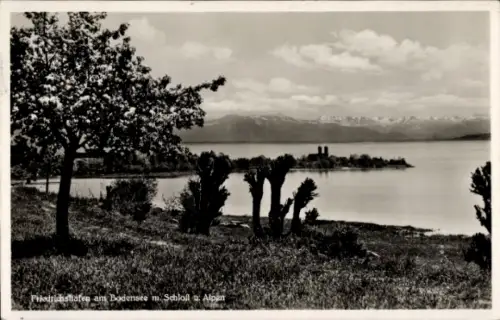 Ak Friedrichshafen am Bodensee, Friedrichshafen am Bodensee, Wasser, Berge, Bäume, 