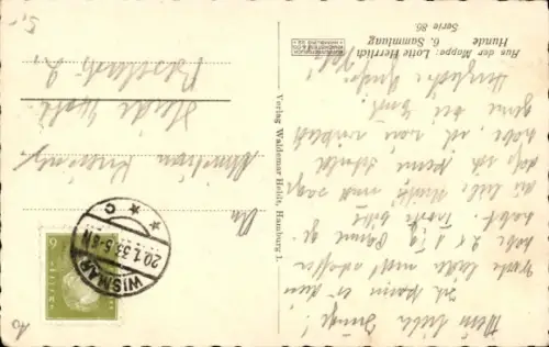 Ak Dackel schaut nach oben, Tierporträt