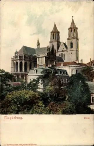 Relief Ak Magdeburg, Teilansicht der Stadt mit Blick auf den Dom