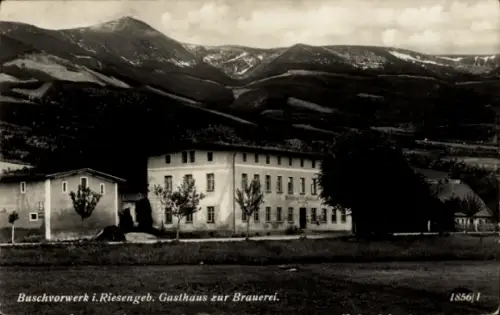 Ak Buschvorwerk Riesengebirge Schlesien, Gasthaus zur Brauerei