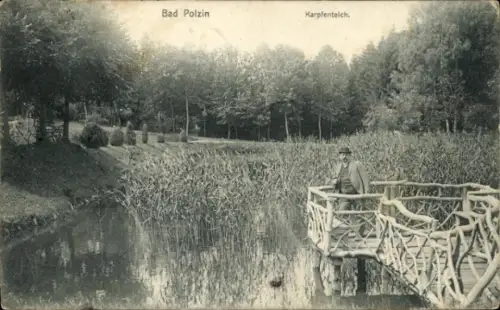 Ak Polczyn Zdrój Bad Polzin Pommern, Karpfenteich