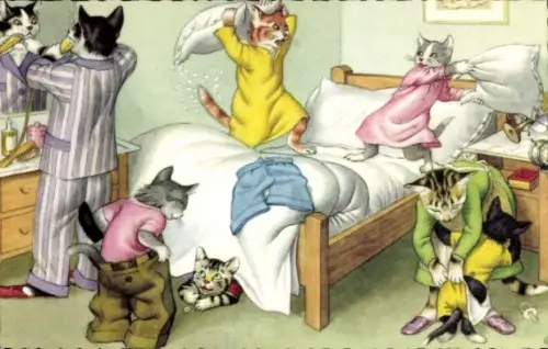 Ak Katzen beim morgendlichen Aufstehen