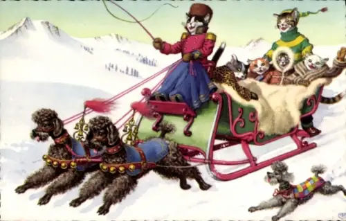 Ak Vermenschlichte Katzen, Schlitten, Pudel