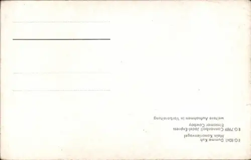 Ak Sänger Bobbejaan, Portrait