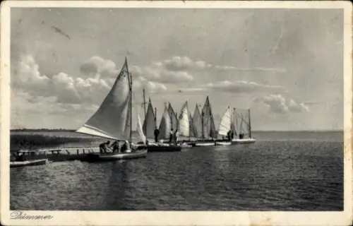 Ak Dümmer, Seepanorama, Segelboote