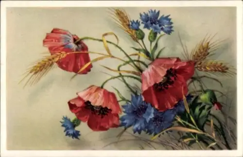 Künstler Ak Kornblumen, Mohnblumen, Getreideähren