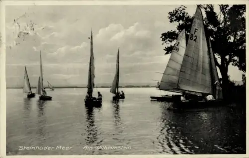 Ak Steinhuder Meer, Am Wilhelmstein, Segelboote