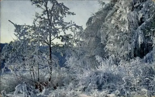 Ak Raureifstudie, Winterlandschaft