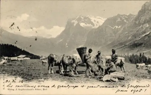 Ak Schweiz, Bauern auf der Alm, Kühe, Strohrucksack, Alpen