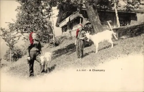 Ak Champéry Kt. Wallis, Bäuerinnen in Landestrachten, Ziegen