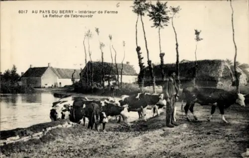 Ak Au Pays du Berry, Intérieur de Ferme, Le Retour de l'abreuvoir