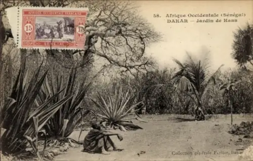 CPA Dakar Sénégal, Jardin de Hann