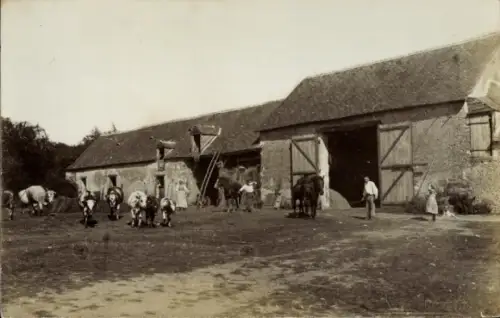 Foto Ak Bauernhof, Landwirtschaft, Kühe