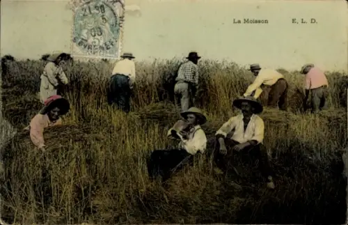 Ak Heuernte, Bauern, Getreide, Feld, Landwirtschaft