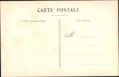 CPA Espèces Canines, Race chiens courants, batards