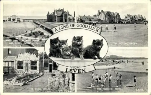 Ak Leven Schottland, Golfclub, Strandpavillon, vier Katzen, Shell House, Putting Green, Scoonie B