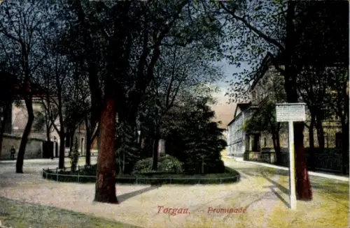Ak Torgau an der Elbe,  Promenade, Bäume, Weg, Schild