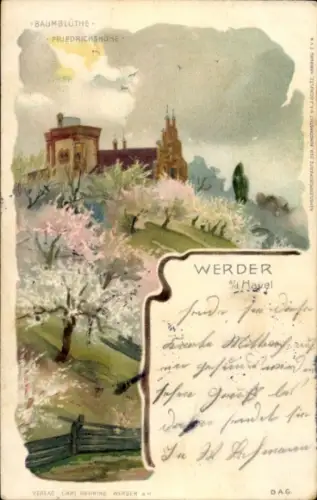 Litho Werder an der Havel, Baumblüte, Friedrichshöhe