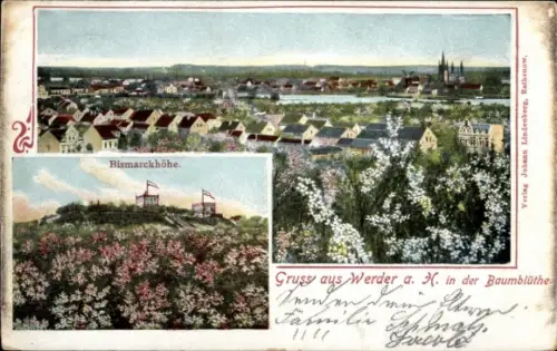 Ak Werder an der Havel, Panorama in der Baumblüte, Bismarckhöhe