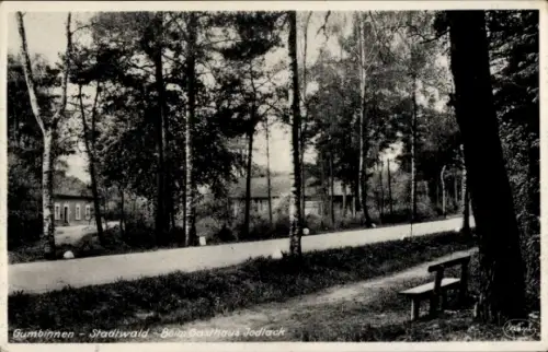 Ak Gussew Gumbinnen Ostpreußen,  Stadtwald, Gasthaus Jodlack, Straße, Bäume, Bank