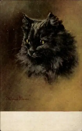 Künstler Ak Schwarze Katze, Tierportrait