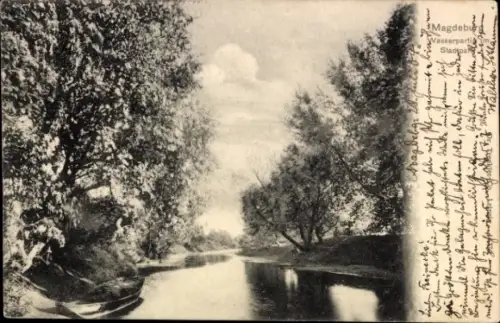 Ak Magdeburg an der Elbe, Stadtpark