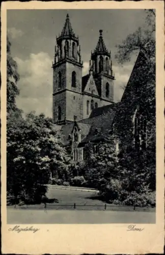 Ak Magdeburg an der Elbe, Dom,  Türme, Bäume, Schwarz-Weiß-Foto