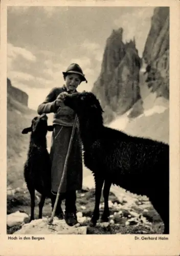 Ak Hoch in den Bergen, Hirtenjunge mit Schafen, Fotograf Dr. Gerhard Halm