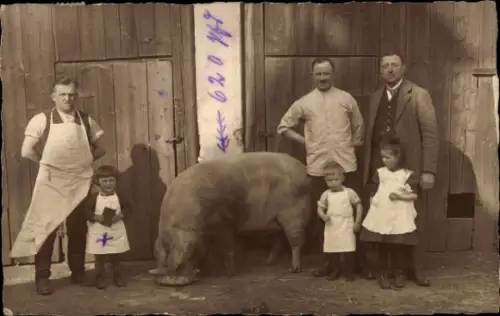 Foto Ak Mieroszów Friedland Bezirk Breslau Niederschlesien, Männer und Kinder in Schürzen, Schwein