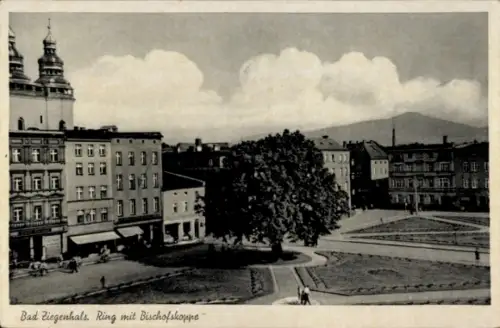 Ak Głuchołazy Zdrój Bad Ziegenhals Schlesien, Ring, Geschäftshäuser, Bischofskoppe